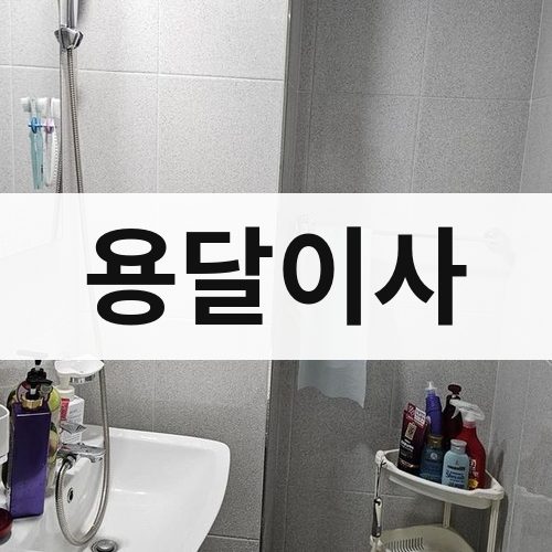 경북 중부 용달이사 포장이사