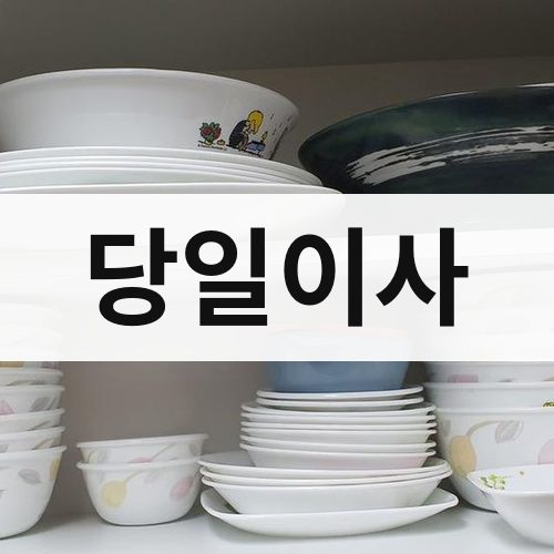 경북 중부 당일이사 포장이사